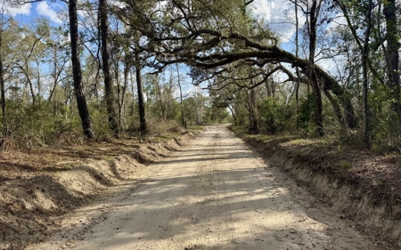 Half‑Acre River‑Area Retreat in Jasper, FL - image 25