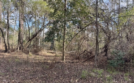 Half‑Acre River‑Area Retreat in Jasper, FL - image 12