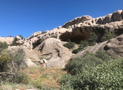 160 Acres with Spring & Wildlife | Fort Rock Ranches - image 8