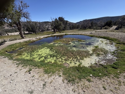 160 Acres with Spring & Wildlife | Fort Rock Ranches - image 21