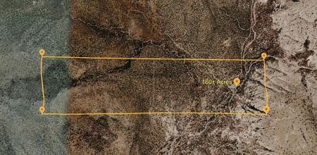 160 Acres with Spring & Wildlife | Fort Rock Ranches - image 34