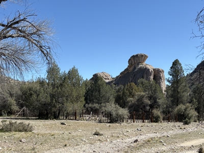 160 Acres with Spring & Wildlife | Fort Rock Ranches - image 23