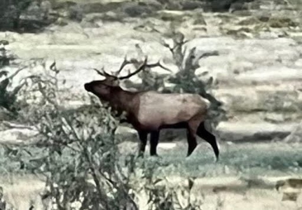 160 Acres with Spring & Wildlife | Fort Rock Ranches - image 16