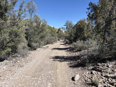 160 Acres with Spring & Wildlife | Fort Rock Ranches - image 28