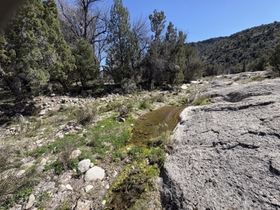 160 Acres with Spring & Wildlife | Fort Rock Ranches - image 24