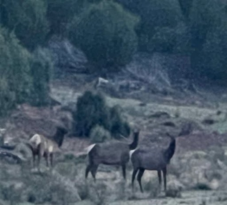 160 Acres with Spring & Wildlife | Fort Rock Ranches - image 12