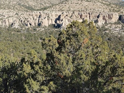 160 Acres with Spring & Wildlife | Fort Rock Ranches - image 15