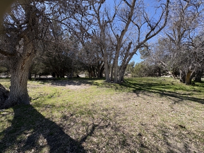 160 Acres with Spring & Wildlife | Fort Rock Ranches - image 22