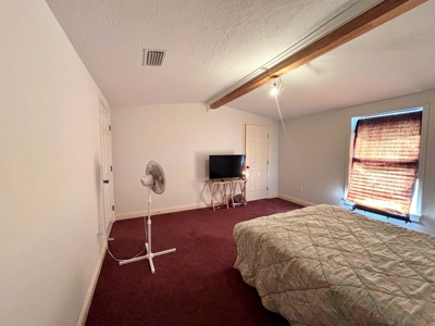Country Home for Sale Slocomb Alabama - image 3