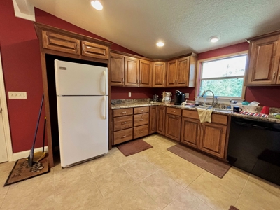 Country Home for Sale Slocomb Alabama - image 1