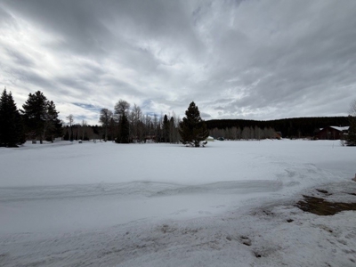 Exclusive Lot For Sale in West Yellowstone, Montana - image 4