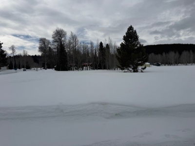 Exclusive Lot For Sale in West Yellowstone, Montana - image 5