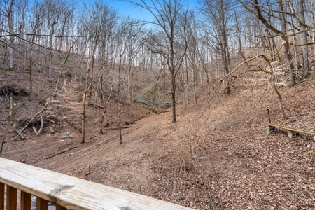 27.47 Acres in Leiper’s Fork Area, Barndominium Retreat - image 13