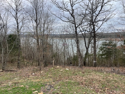 Bull Shoals Lake Getaway Cottage With Fiber Optic Cable - image 9