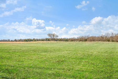 14.5 Acres in Northeast Texas Fannin County - image 35