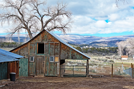 Colorado Country Home for Sale with Acreage and Irrigation - image 25