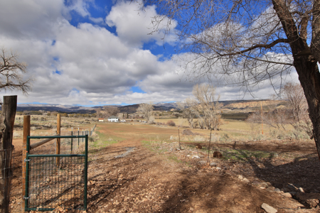 Colorado Country Home for Sale with Acreage and Irrigation - image 27