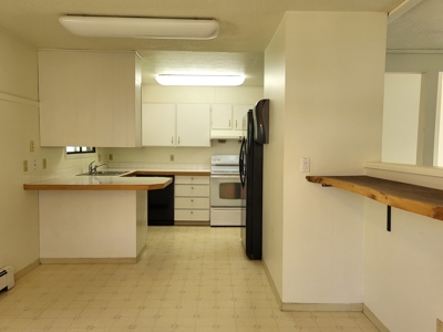 Mid-Century Modern Home Sunnyside Hills Neighborhood Pullman, WA! - image 35