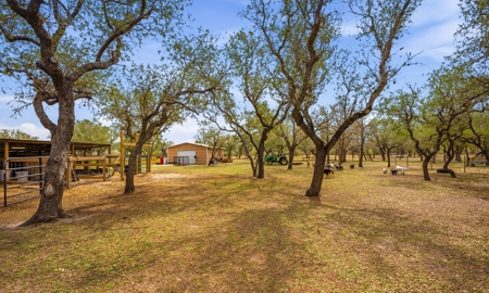 Country Home on 4.66 Acres - North of Sinton, TX - image 20
