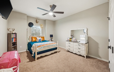 Country Home on 4.66 Acres - North of Sinton, TX - image 16