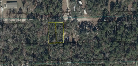 Land For Sale Near Suwannee River in Bell, FL - image 4