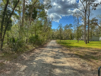 Land For Sale Near Suwannee River in Bell, FL - image 1