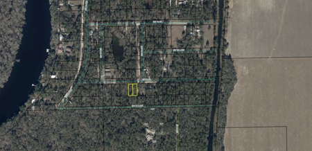 Land For Sale Near Suwannee River in Bell, FL - image 3