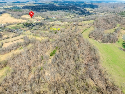 Land for Sale in Maury County, Tennessee - image 11