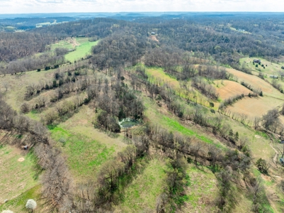 Land for Sale in Maury County, Tennessee - image 6