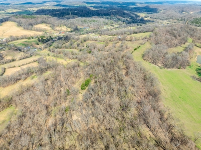 Land for Sale in Maury County, Tennessee - image 10
