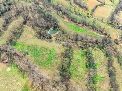 Land for Sale in Maury County, Tennessee - image 7