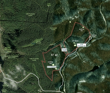 87-Acre Fire Tower Estate: 2 Homes, Lake & 12,014 Sq Ft - image 49