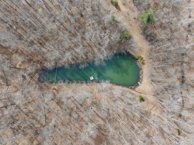 87-Acre Fire Tower Estate: 2 Homes, Lake & 12,014 Sq Ft - image 43