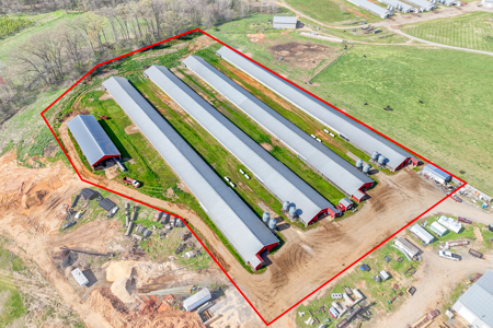 Poultry Farm For Sale In Lincolnton NC - image 3