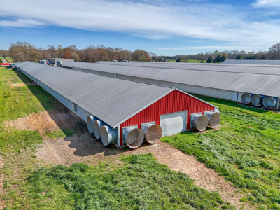 Poultry Farm For Sale In Lincolnton NC - image 29
