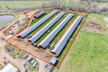 Poultry Farm For Sale In Lincolnton NC - image 2