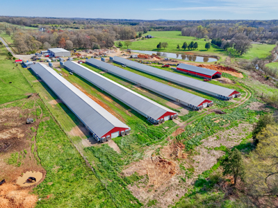 Poultry Farm For Sale In Lincolnton NC - image 8