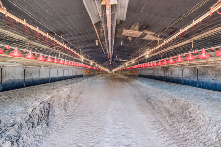 Poultry Farm For Sale In Lincolnton NC - image 20