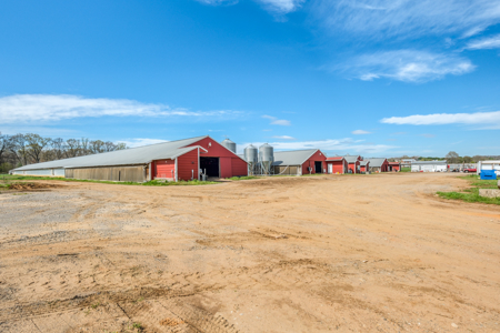 Poultry Farm For Sale In Lincolnton NC - image 17