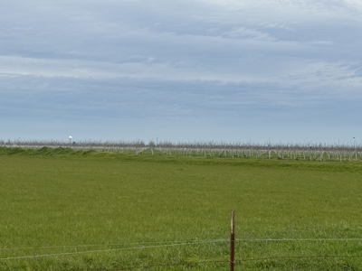 Farm Land or Buildable Acreage in Dixon, California For Sale - image 9