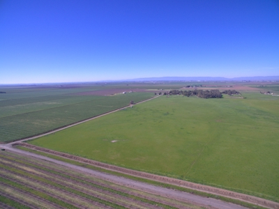 Farm Land or Buildable Acreage in Dixon, California For Sale - image 12