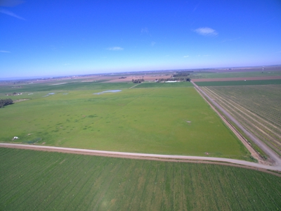 Farm Land or Buildable Acreage in Dixon, California For Sale - image 7