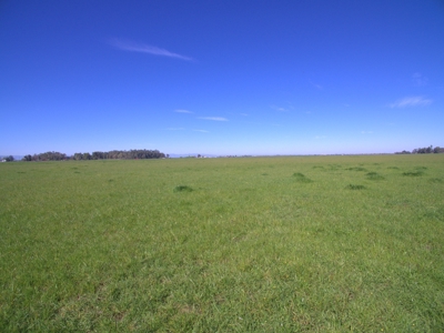 Farm Land or Buildable Acreage in Dixon, California For Sale - image 15