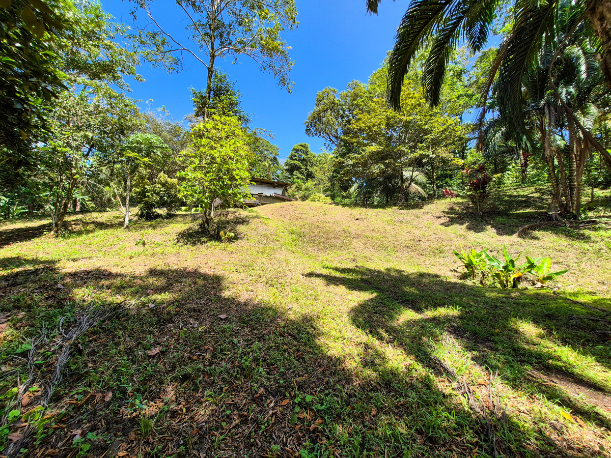 Titled Jungle Lot, 1,657 m² — Isla Solarte - 6