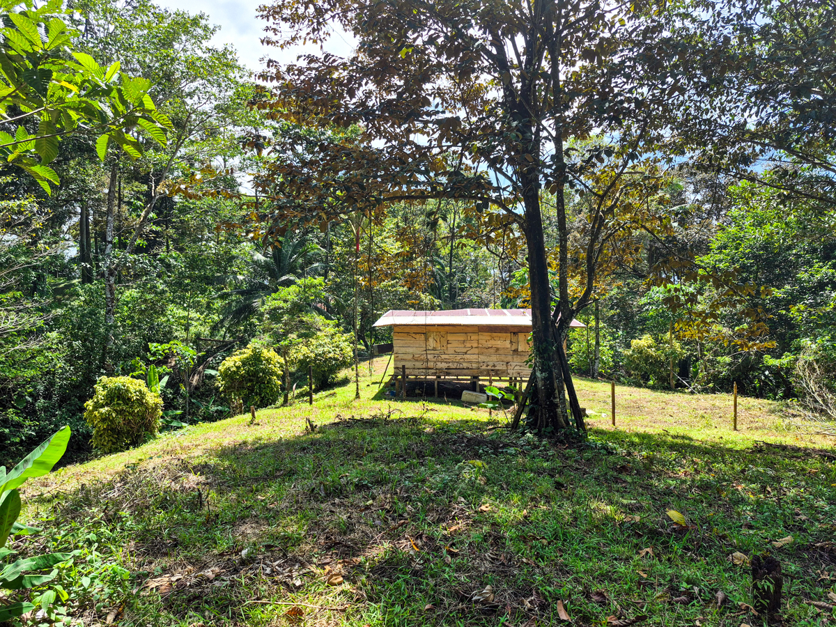 Titled Jungle Lot, 1,657 m² — Isla Solarte - 4
