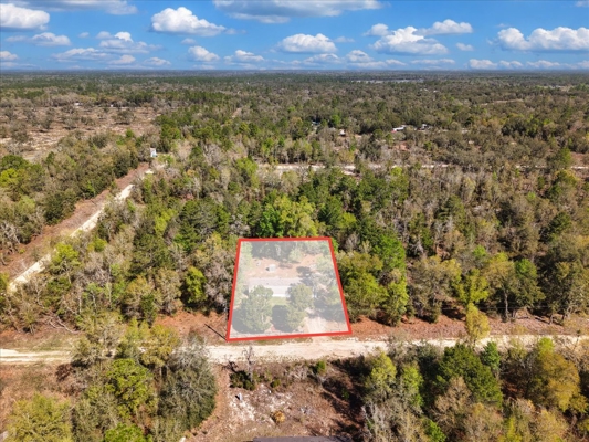 Affordable living in Levy County
