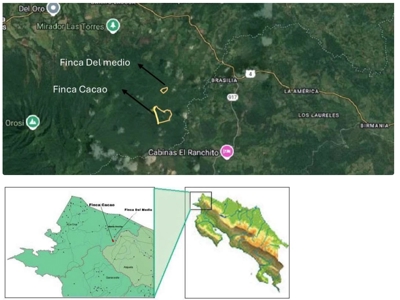 Costa Rica Forestry and Timber Land for sale by Michael Krieg - image 22