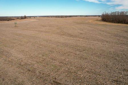 Income Producing Farm with CRP, Row Crop & Timber - image 25