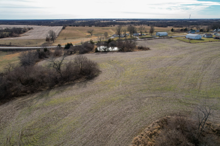Income Producing Farm with CRP, Row Crop & Timber - image 15