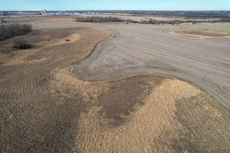Income Producing Farm with CRP, Row Crop & Timber - image 12